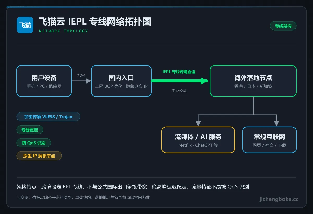飞猫云 IEPL 专线网络拓扑图